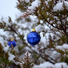 A blue Christmas